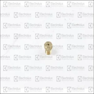 Inyector N Grados 220 Gas Natural - 0A2083