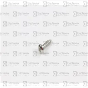 Tornillo 4,8X19 - 0C8788