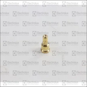 Inyector Piloto Dia.0,29 Two Hole - 0C9891