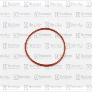 Junta Torica - 0L4017