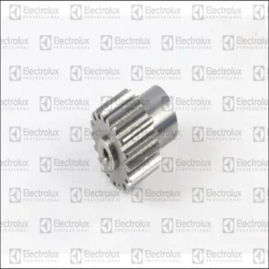 Pinon - 0L4592